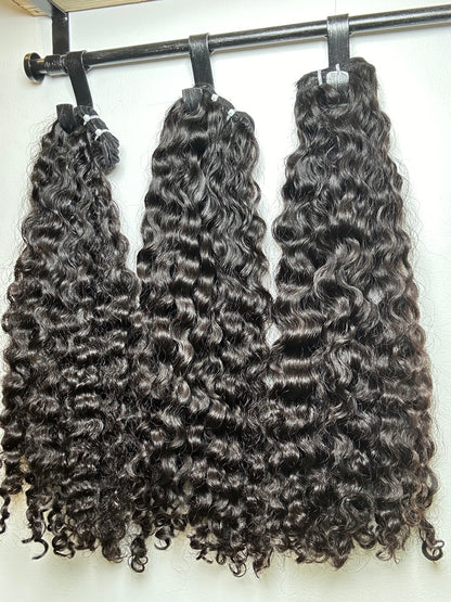 Burmese Curly-  4 BUNDLE DEAL