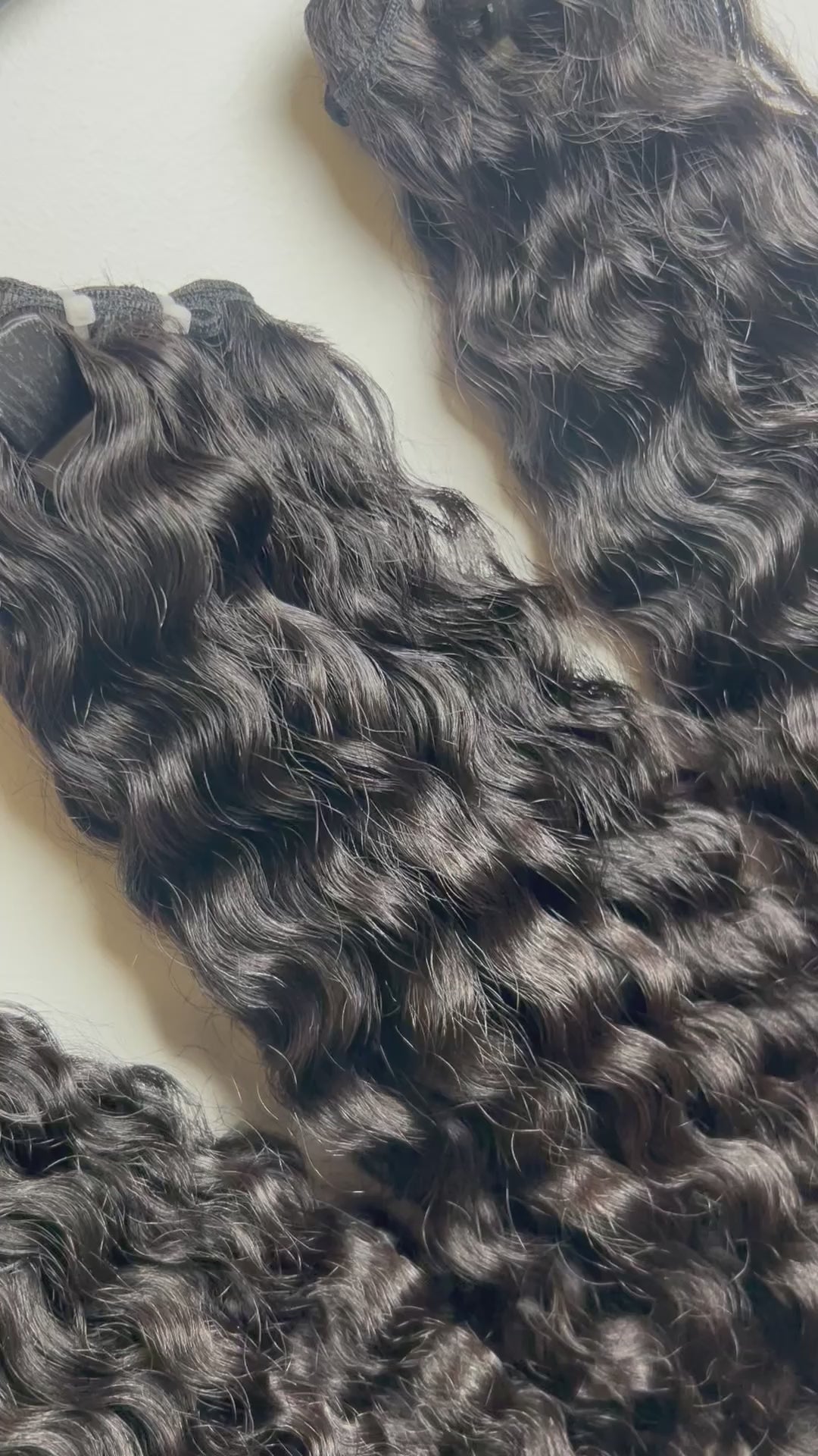 Burmese Curly-  4 BUNDLE DEAL